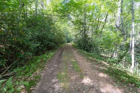 26.98 Ac Tusquittee Hayesville NC 28904