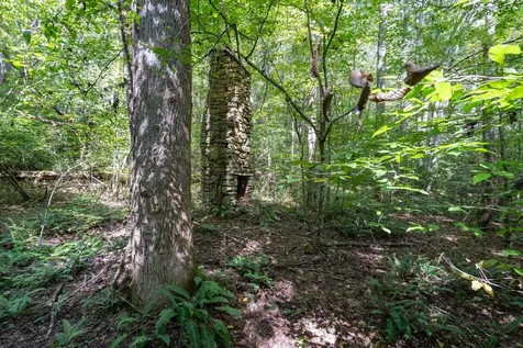 26.98 Ac Tusquittee Hayesville NC 28904
