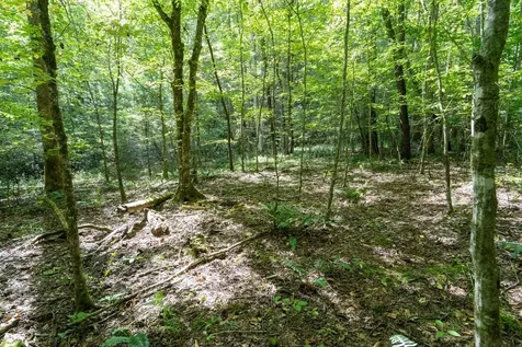 26.98 Ac Tusquittee Hayesville NC 28904