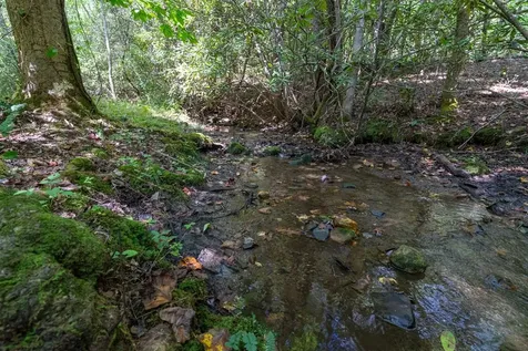 26.98 Ac Tusquittee Hayesville NC 28904