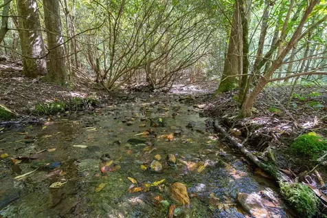 26.98 Ac Tusquittee Hayesville NC 28904