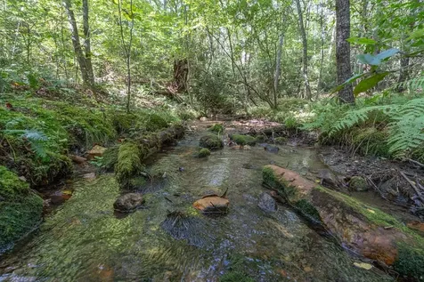 26.98 Ac Tusquittee Hayesville NC 28904