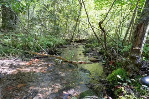 26.98 Ac Tusquittee Hayesville NC 28904