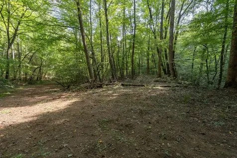 26.98 Ac Tusquittee Hayesville NC 28904