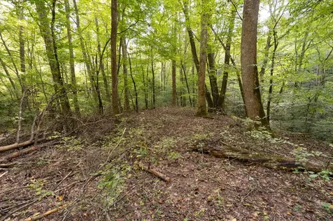 26.98 Ac Tusquittee Hayesville NC 28904