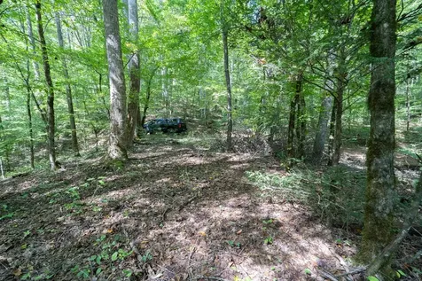 26.98 Ac Tusquittee Hayesville NC 28904