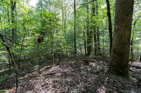 26.98 Ac Tusquittee Hayesville NC 28904