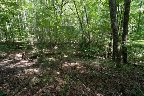 26.98 Ac Tusquittee Hayesville NC 28904