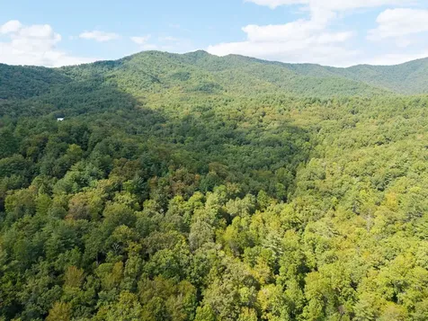 26.98 Ac Tusquittee Hayesville NC 28904