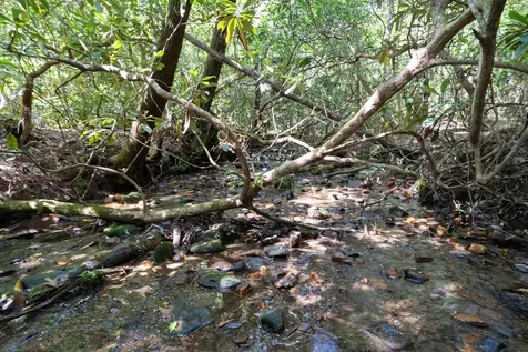 26.98 Ac Tusquittee Hayesville NC 28904