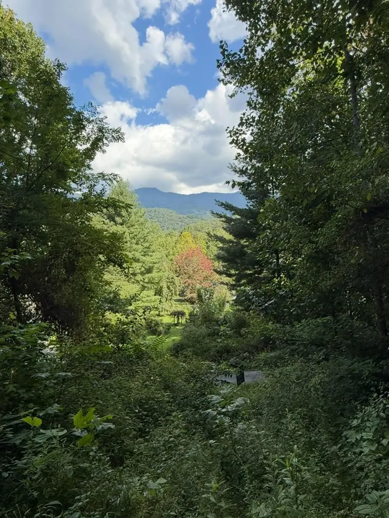 Lot 2 Varsity Drive Sylva NC 28779