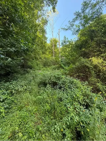 Lot 2 Varsity Drive Sylva NC 28779