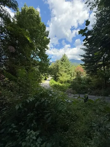 Lot 2 Varsity Drive Sylva NC 28779