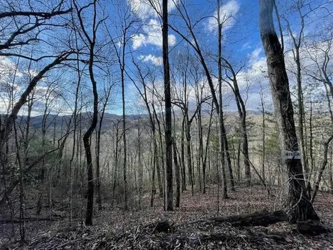 Lt 75e&f Turkey Walk Drive Marble NC 28905