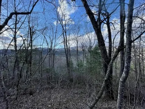 Lt 75e&f Turkey Walk Drive Marble NC 28905