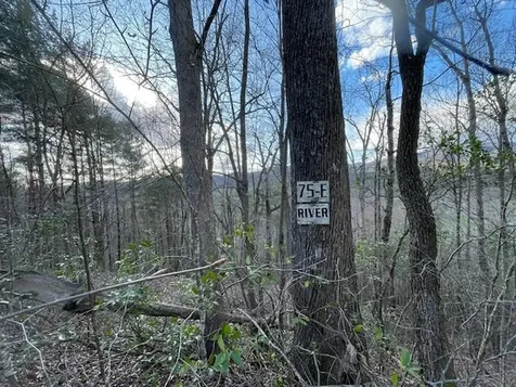 Lt 75e&f Turkey Walk Drive Marble NC 28905