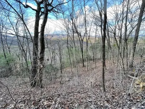 Lt 75e&f Turkey Walk Drive Marble NC 28905