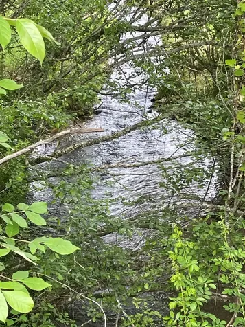 00 Hidden Lakes Road Topton NC 28781