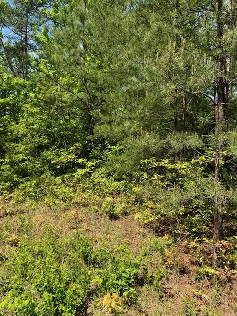 Lot 12 Paradise Marble NC 28905