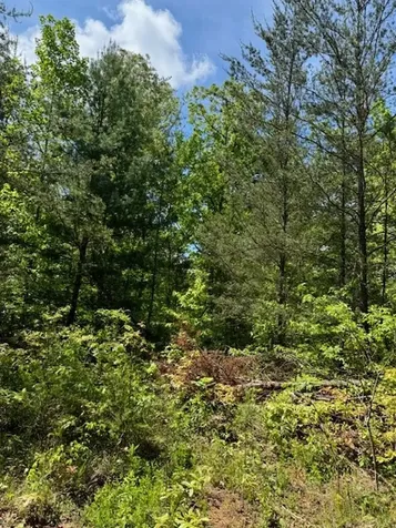Lot 12 Paradise Marble NC 28905