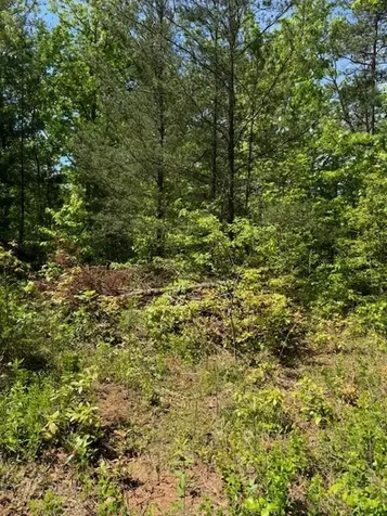 Lot 12 Paradise Marble NC 28905