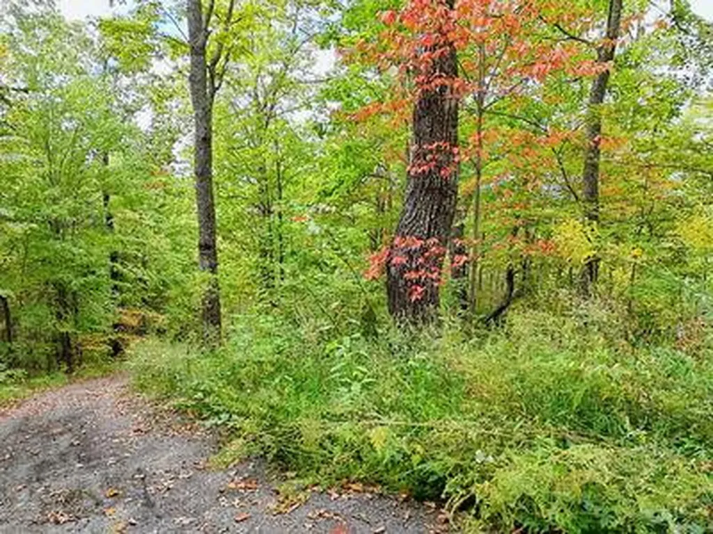 Lot 23 Skyview Hayesville NC 28904