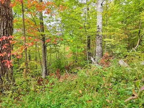 Lot 23 Skyview Hayesville NC 28904
