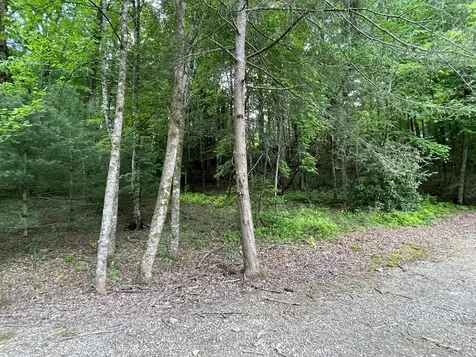 00 Collett Woods Trail Andrews NC 28901