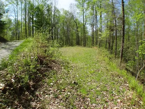 Lot # 3 Deweese Road Topton NC 28901