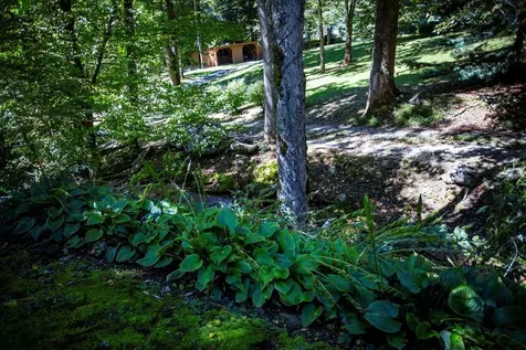 1620 E Buffalo Road Robbinsville NC 28771