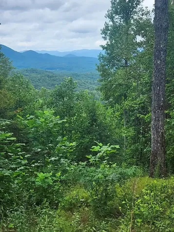 00 Vance Mountain Road Murphy NC 28906