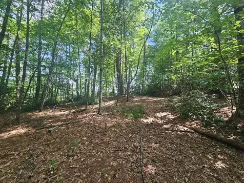 Lot C Nottley Ridge Murphy NC 28906
