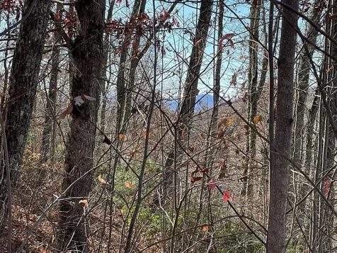 Lots Ash Branch View Hayesville NC 28904
