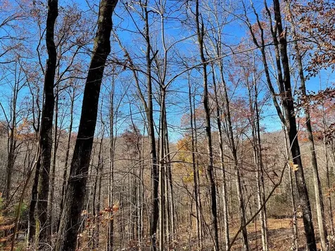 Lots Ash Branch View Hayesville NC 28904