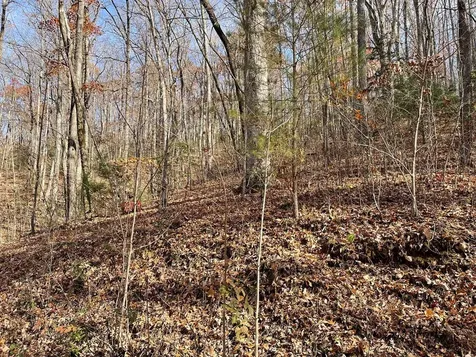 Lots Ash Branch View Hayesville NC 28904