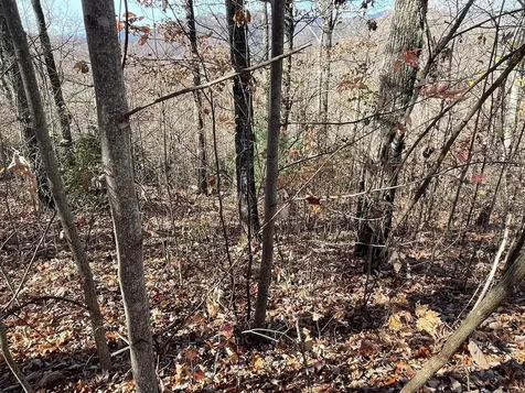 Lots Ash Branch View Hayesville NC 28904