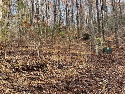 Lots Ash Branch View Hayesville NC 28904