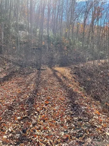 Lots Ash Branch View Hayesville NC 28904