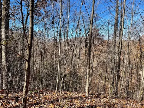 Lots Ash Branch View Hayesville NC 28904