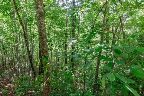 Lot 111c Puett Cove Estates Marble NC 28905