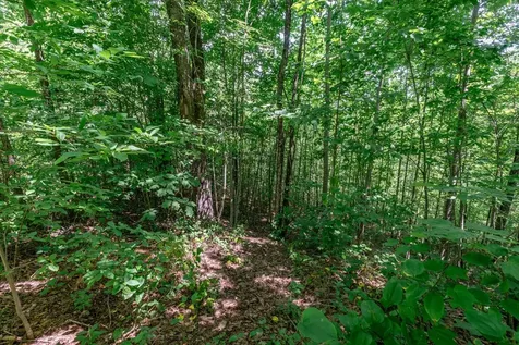 Lot 111c Puett Cove Estates Marble NC 28905