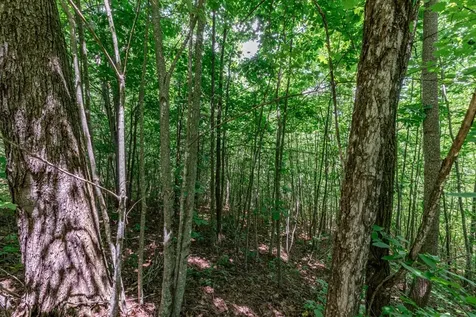Lot 111c Puett Cove Estates Marble NC 28905