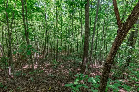 Lot 111c Puett Cove Estates Marble NC 28905