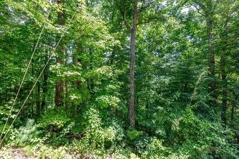 Lot 111c Puett Cove Estates Marble NC 28905