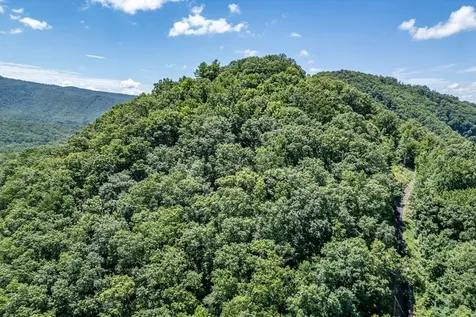 Lot 111c Puett Cove Estates Marble NC 28905