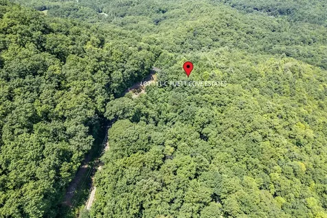 Lot 111c Puett Cove Estates Marble NC 28905