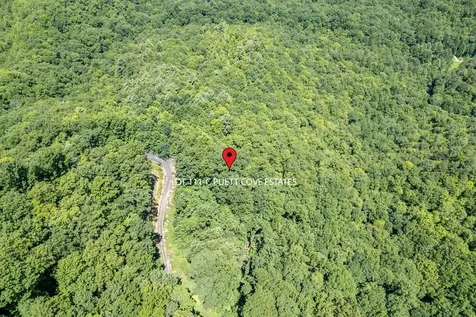 Lot 111c Puett Cove Estates Marble NC 28905
