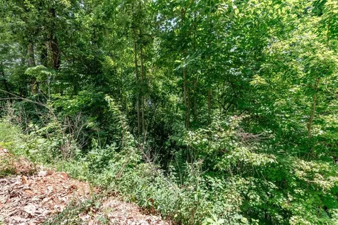 Lot 111c Puett Cove Estates Marble NC 28905