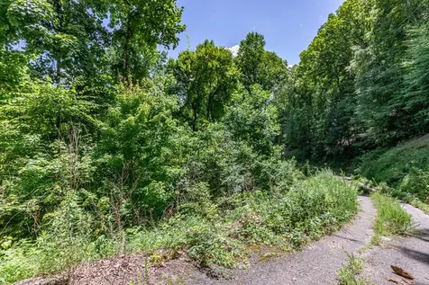 Lot 111c Puett Cove Estates Marble NC 28905