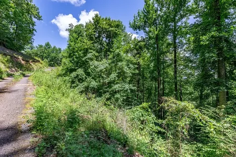 Lot 111c Puett Cove Estates Marble NC 28905